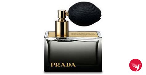 prada ambree perfume|prada amber perfume boots.